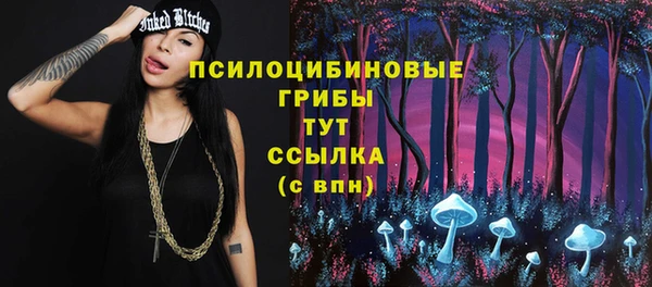 ешки Алексеевка