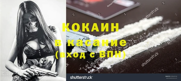 индика Алексин