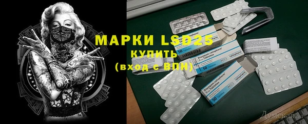 индика Алексин