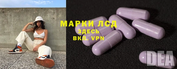 стаф Ладушкин
