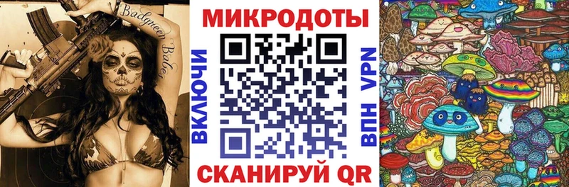 Псилоцибиновые грибы Psilocybine cubensis  Элиста 