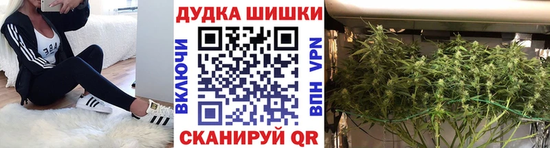 Шишки марихуана Bruce Banner  MEGA рабочий сайт  Элиста 